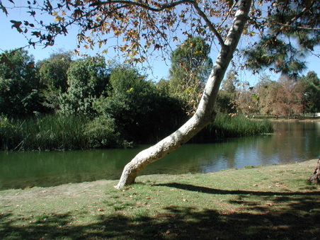 Enlarge photo 73