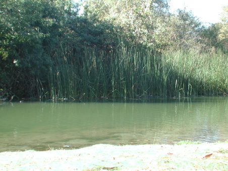 Enlarge photo 74