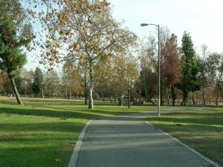 Enlarge photo 75