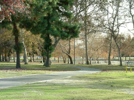 Enlarge photo 76