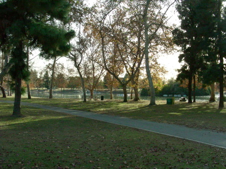 Enlarge photo 77