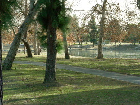 Enlarge photo 78
