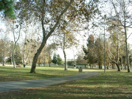 Enlarge photo 79