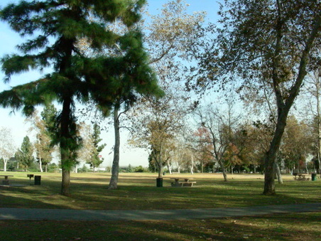 Enlarge photo 80