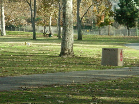 Enlarge photo 82