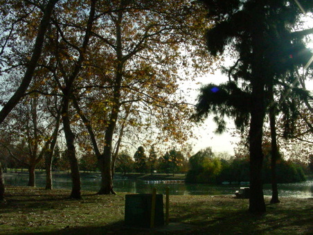 Enlarge photo 83