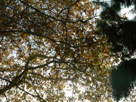 Enlarge photo 84