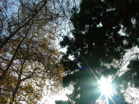 Enlarge photo 85