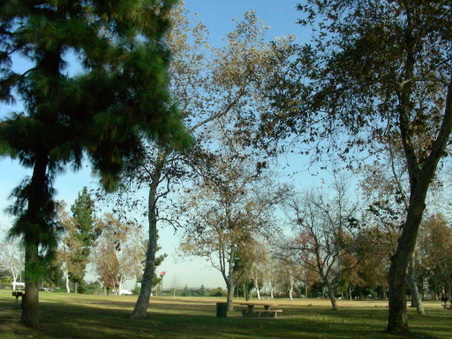 Enlarge photo 86