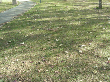 Enlarge photo 87