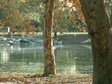 Enlarge photo 88