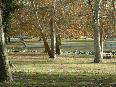 Enlarge photo 89