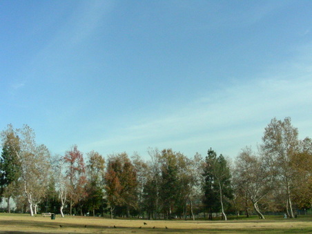 Enlarge photo 91