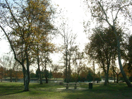 Enlarge photo 92