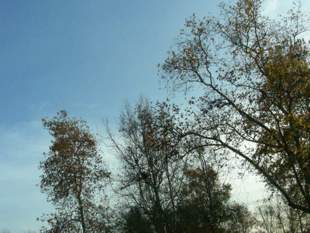 Enlarge photo 93