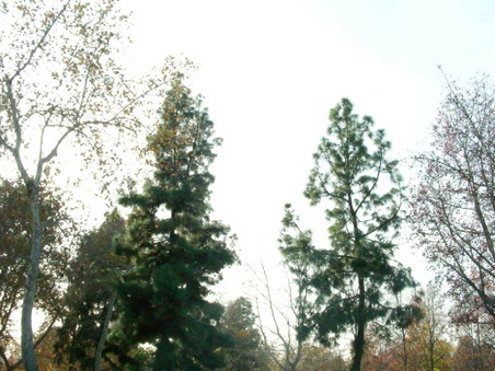 Enlarge photo 94