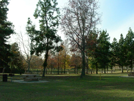 Enlarge photo 95