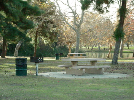 Enlarge photo 96