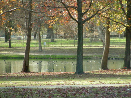 Enlarge photo 97