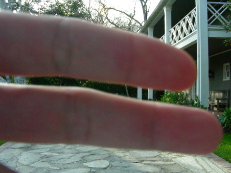 Enlarge photo 98