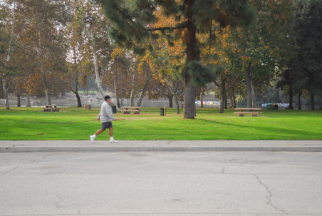 Enlarge photo 1