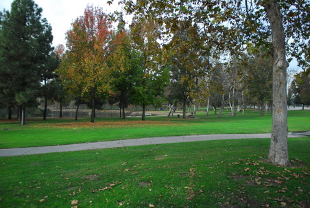 Enlarge photo 3
