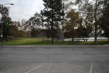 Enlarge photo 16
