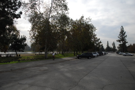 Enlarge photo 17