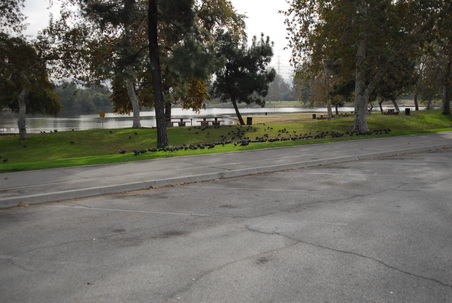 Enlarge photo 19
