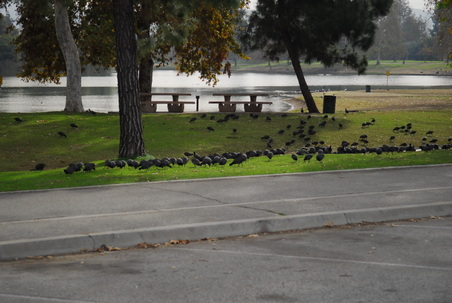 Enlarge photo 20