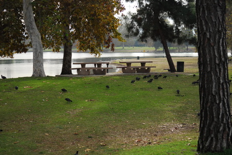 Enlarge photo 21