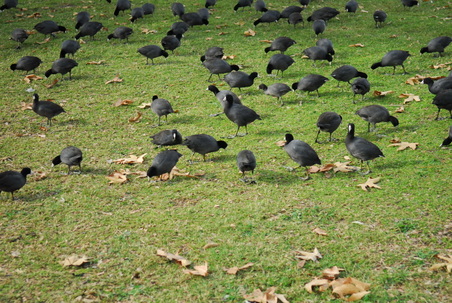 Enlarge photo 23