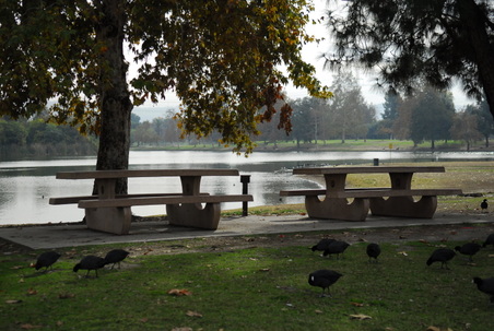 Enlarge photo 24