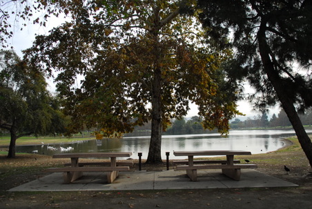 Enlarge photo 25