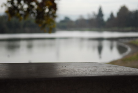 Enlarge photo 27