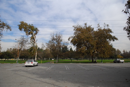 Enlarge photo 30