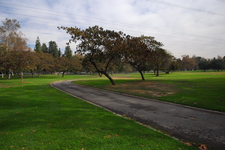 Enlarge photo 33