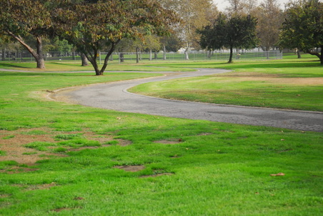Enlarge photo 34