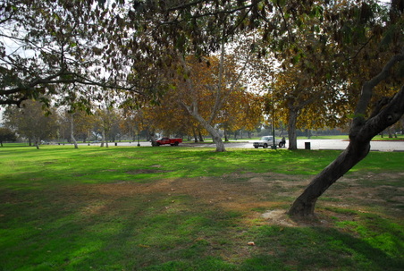 Enlarge photo 35