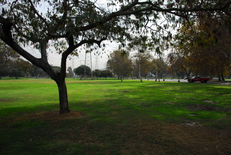 Enlarge photo 36