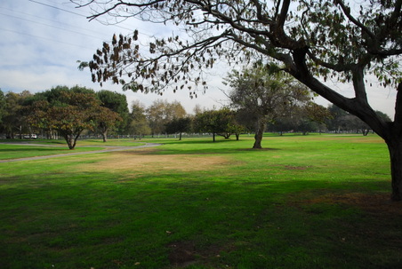 Enlarge photo 37