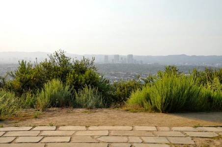 Enlarge photo 3