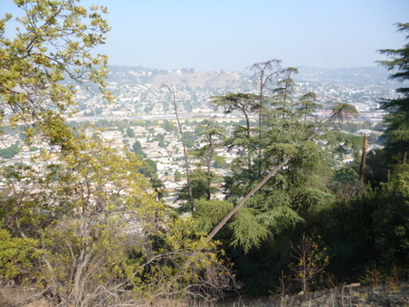 Enlarge photo 23