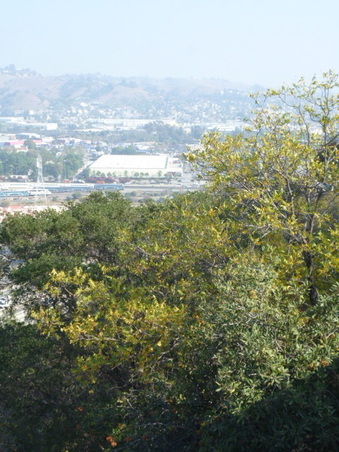 Enlarge photo 31