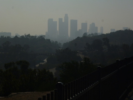 Enlarge photo 33