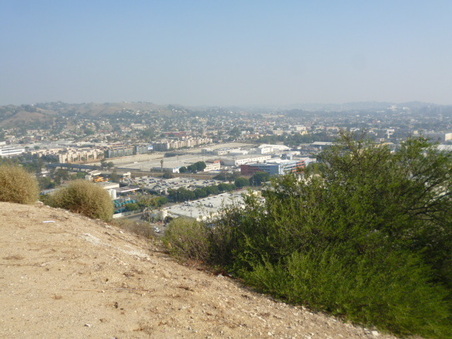 Enlarge photo 35