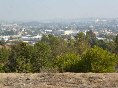 Enlarge photo 37