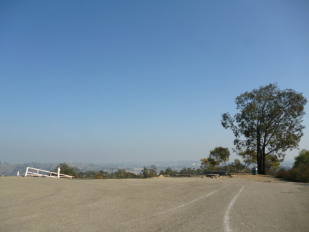 Enlarge photo 41