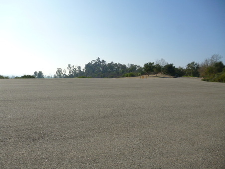 Enlarge photo 45