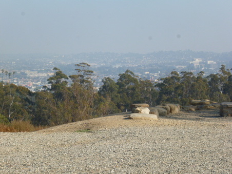 Enlarge photo 49